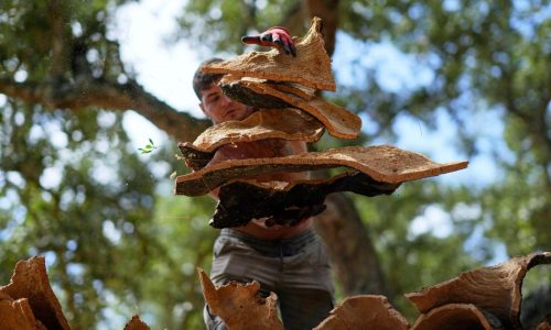 Cork won a rare Trump tariff exemption thanks to lobbying on both sides of the Atlantic