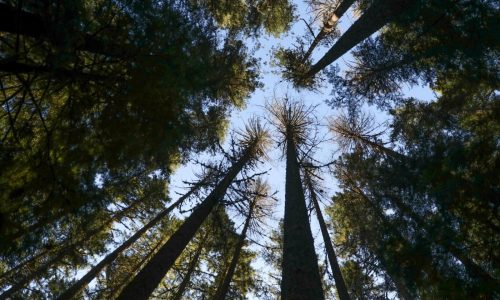 Other voices: America’s wilderness is priceless