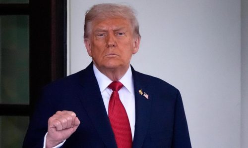 Trump to put import taxes on pharmaceutical drugs, kitchen cabinets, furniture and heavy trucks