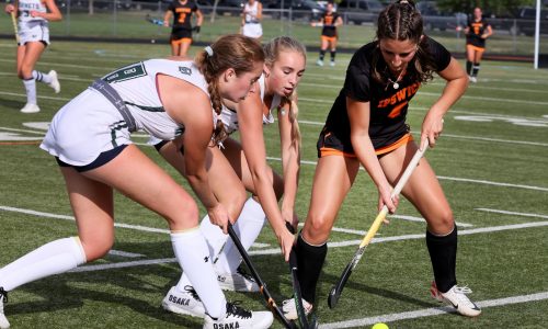 Div. 3-4 Field Hockey Preview: Watertown, Uxbridge remain dominant