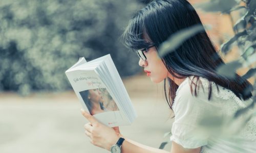 Your Topics Multiple Stories Review: Features, and Alternatives