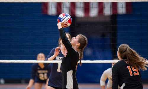 Girls Volleyball Preview: Newton North pushing for fourth consecutive D1 title