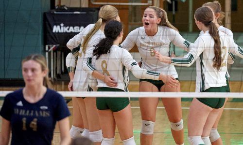 Bishop Feehan handles Archbishop Williams in Catholic Central League match