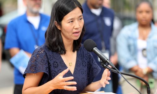 Lucas: Mayor Wu trying to ICE-out Trump