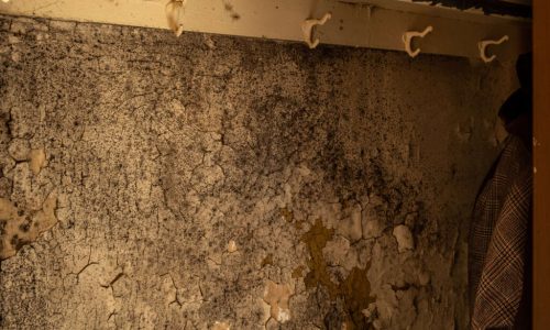 NYC Housing Calendar, Oct. 20-27