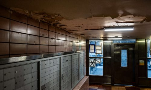 City-Issued Violations at NYCHA Developments Are Now Public, Following Legal Settlement 