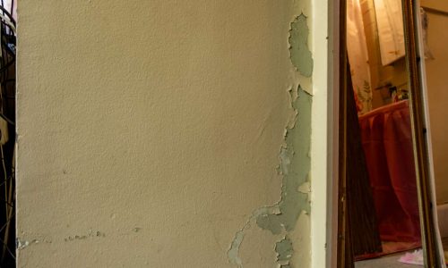 It’s Lead Poisoning Prevention Week. Here’s What NYC Tenants Should Know