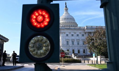 White House keeps 45 DOGE employees working despite shutdown