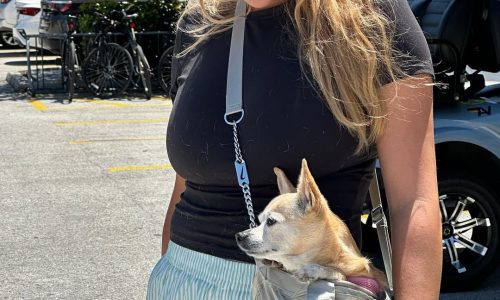 Amanda Anisimova Net Worth: Rising Tennis Star’s Earnings