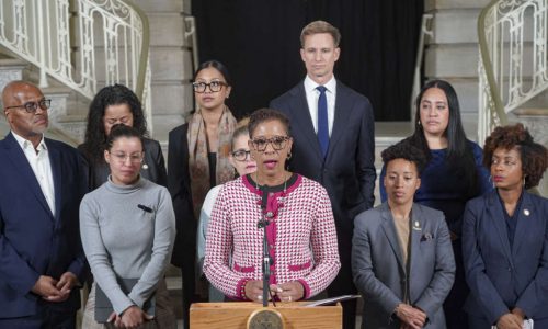 ‘Hands Off’: City Lawmakers Push Back Against Federal Agents in NYC