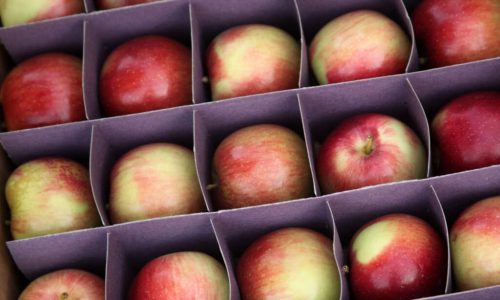 Opinion: Nutrition Helped Me in Recovery. Now I Use It to Help Others