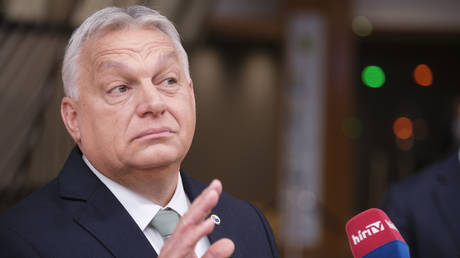 No euro for Hungary as EU ‘falling apart’ – Orban