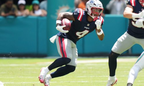 Reports: Patriots running back out for season with torn ACL