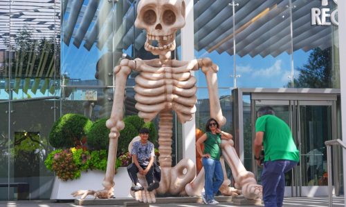 How Americans will be celebrating Halloween, according to a new AP-NORC poll