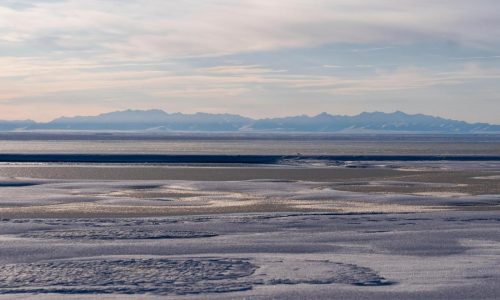 Trump administration finalizes plan to open pristine Alaska wildlife refuge to oil and gas drilling