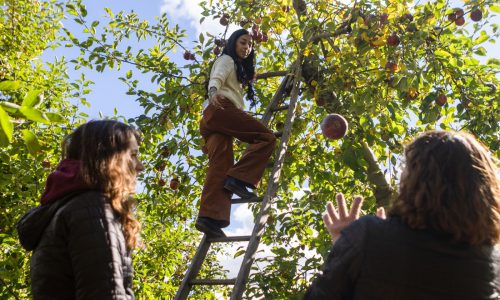 Boston Weather: Cool, windy days ahead, ‘potential for rain’ on Halloween