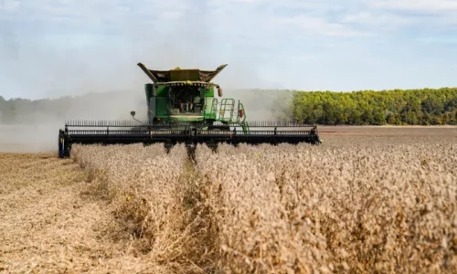 China Agrees to Buy 25 Million Metric Tons of US Soybeans per Year, Bessent Says