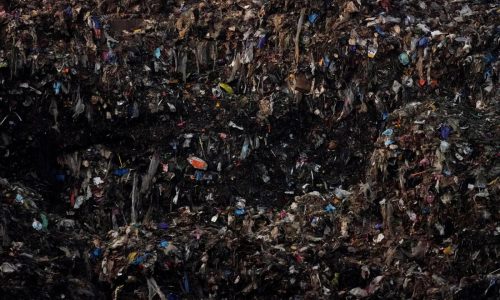 The food you toss costs you plenty and emits tons of pollution. We’ve got tips on how to cut down