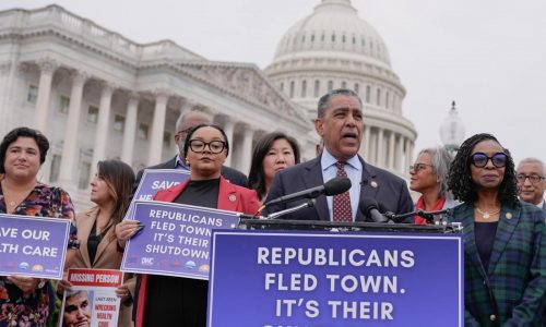 Democrats embrace a shutdown fight in a rare moment of unity against Trump