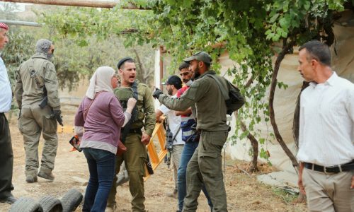 Israeli settlers beat Palestinian farmers on video as attacks mount during West Bank olive harvest