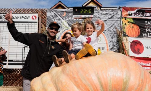California engineer wins pumpkin contest with 2,346-pound gourd