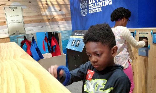 MN Children’s Museum: Free admission in November for those on SNAP