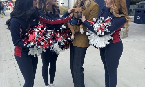 Patriots Foundation fetches a win with rescue adoption day