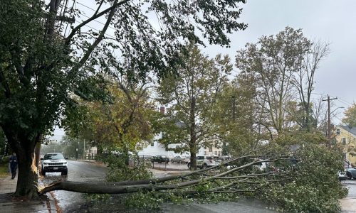 Nor’easter brings heavy rain, damaging winds across Massachusetts