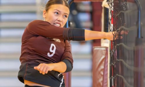 MIAA volleyball state tournament preview