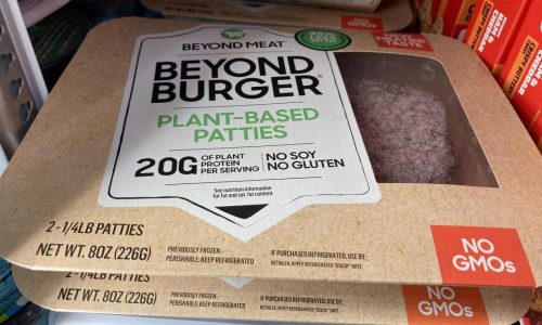 Meme stock resurgence prompts return of central meme investment fund