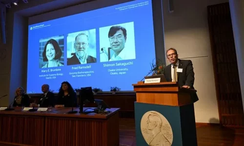 Nobel Prize in Medicine Goes to 3 Scientists for Key Immune System Discoveries