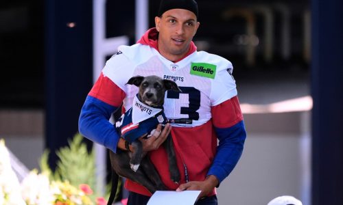 New Patriots: Getting to know starting wide receiver Mack Hollins