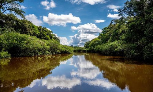 Gold demand puts Peru’s Amazon at greater risk from mercury poisoning, bishop warns