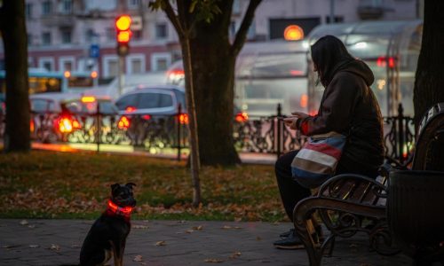 Russian strike seriously damages Ukrainian power plant as winter approaches, officials say