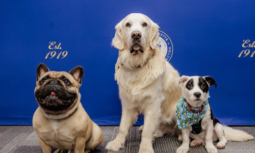 Editorial: This Bandit works at easing stress in state prisons