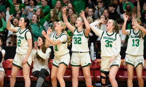 Hill-Murray hires girls basketball coach