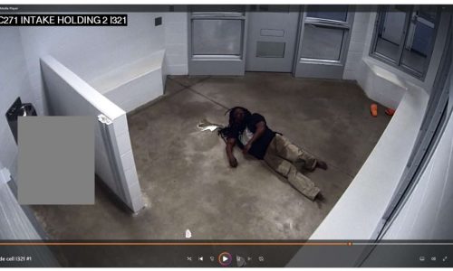 Lawsuit alleges Eagan police mistook man’s fatal stroke for possible drug use