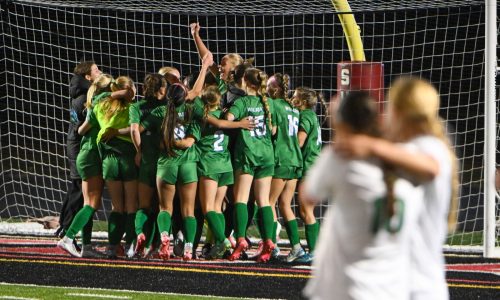 Girls soccer: Stella Triplett sends Eagan back to Class 3A semifinals