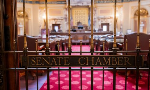 Special elections to decide whether DFL, GOP control MN Senate