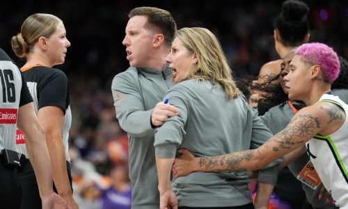 Ref from the Lynx’s Game 3 loss to Phoenix just received an NBA promotion