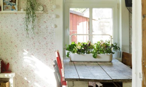 How to use tech in the garden and still keep your serenity