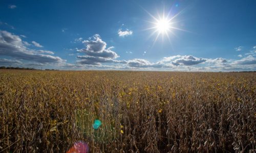 4 Republicans back Senate resolution to undo Trump’s tariffs around the globe