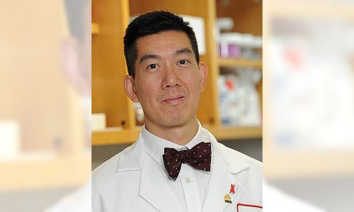 New vaccine for typhoid, salmonella shows promise