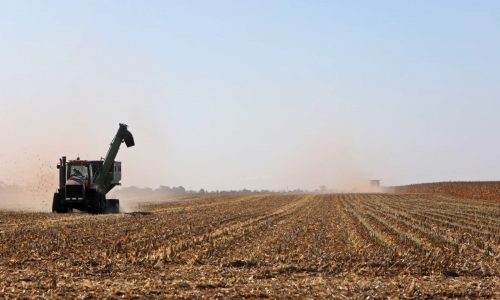 North Dakota, Minnesota farmland prices keep rising despite challenges in ag industry