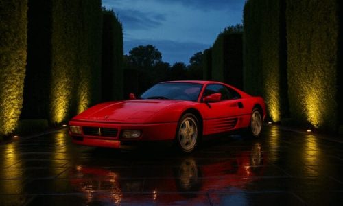 How to Create a Luxury Car Garden