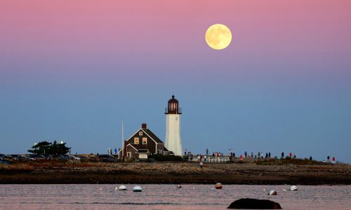 Supermoon on the rise