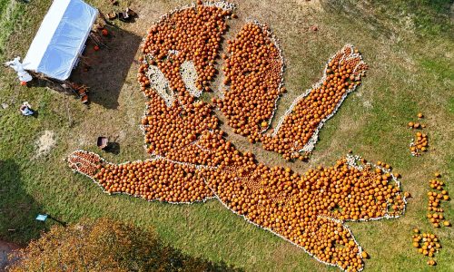 Pumpkins galore in Cohasset (Photos)