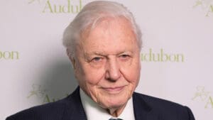 Sir David Attenborough, 99, becomes oldest daytime Emmy winner