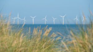 Wind and solar power drive UK renewable electricity record