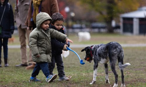 Boston Weather: Chilly, sunny Thanksgiving upcoming, no travel impacts forecast